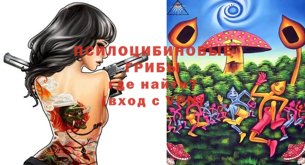 амф Абаза