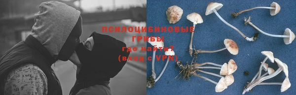 первитин Алексеевка