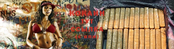 амф Абаза