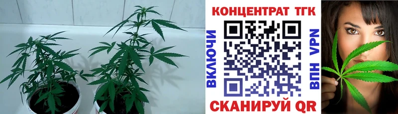 ТГК THC oil  Тырныауз 
