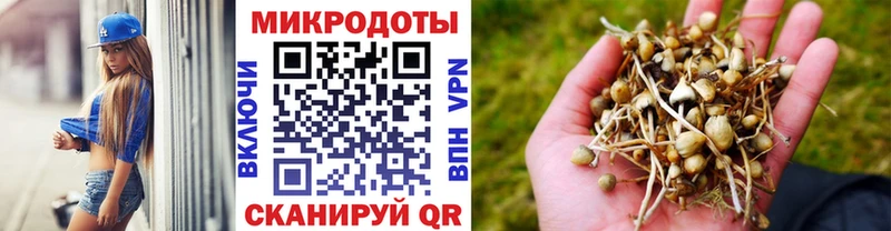 Псилоцибиновые грибы прущие грибы  Тырныауз 